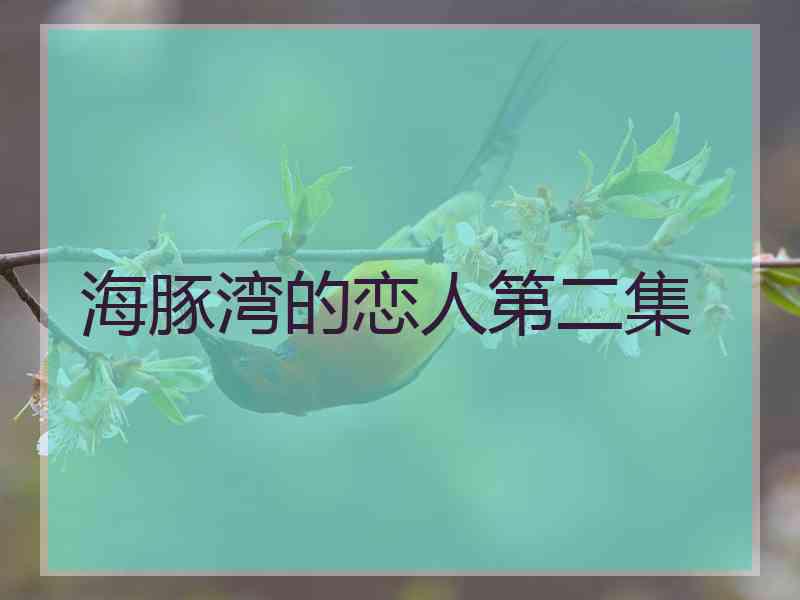 海豚湾的恋人第二集
