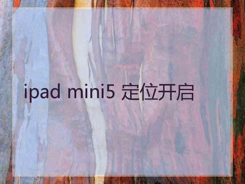 ipad mini5 定位开启