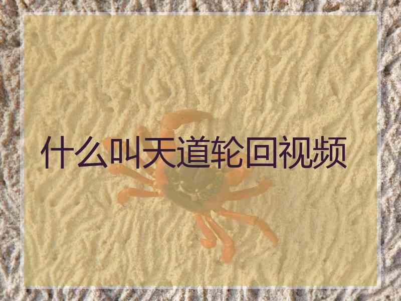 什么叫天道轮回视频