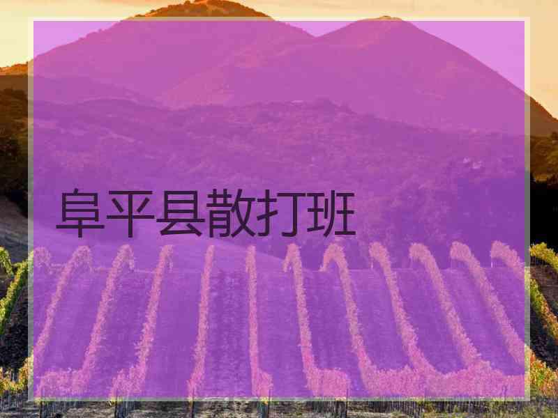 阜平县散打班