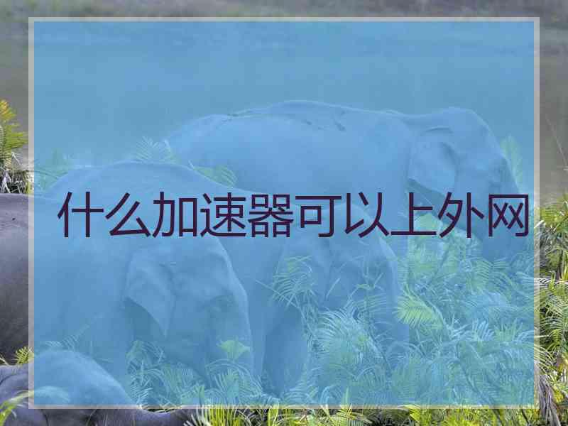 什么加速器可以上外网