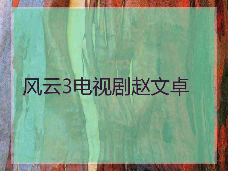 风云3电视剧赵文卓