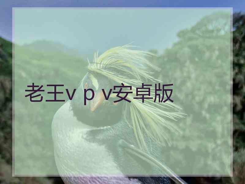 老王v p v安卓版