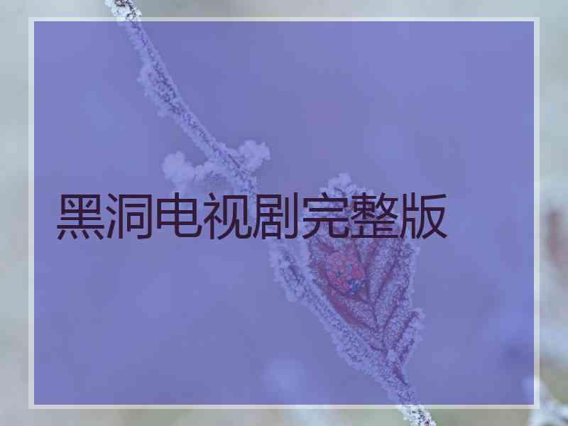黑洞电视剧完整版