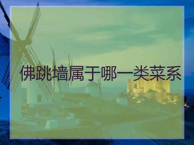 佛跳墙属于哪一类菜系