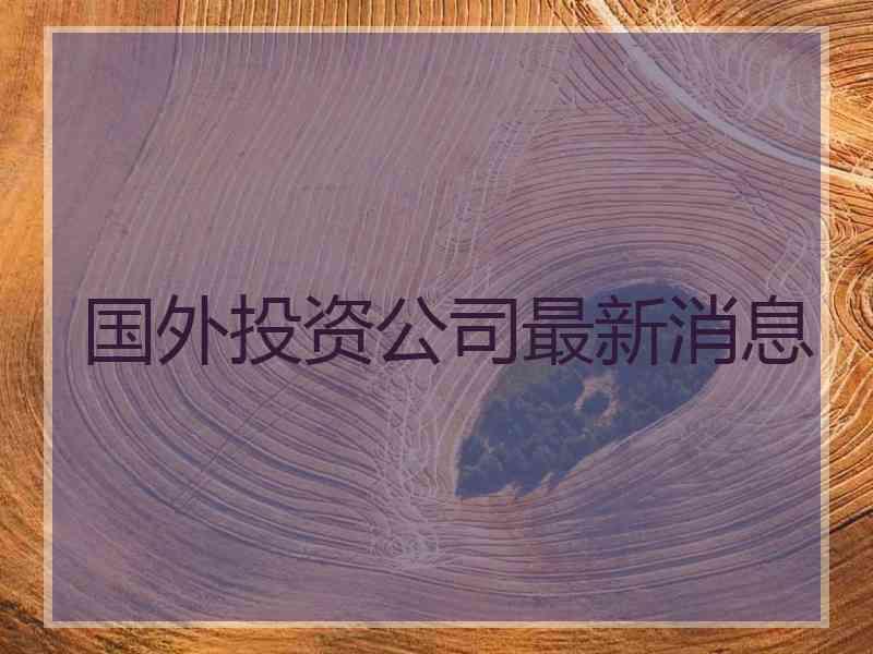 国外投资公司最新消息