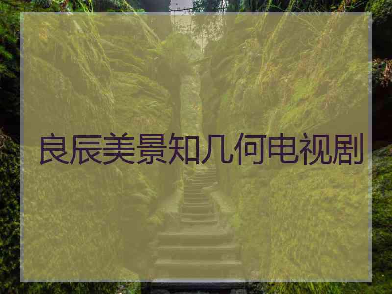 良辰美景知几何电视剧