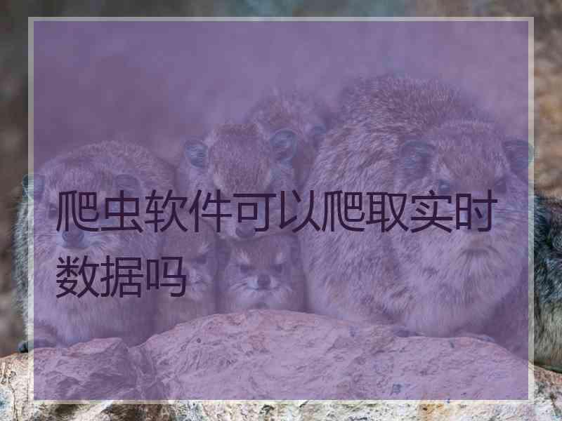 爬虫软件可以爬取实时数据吗