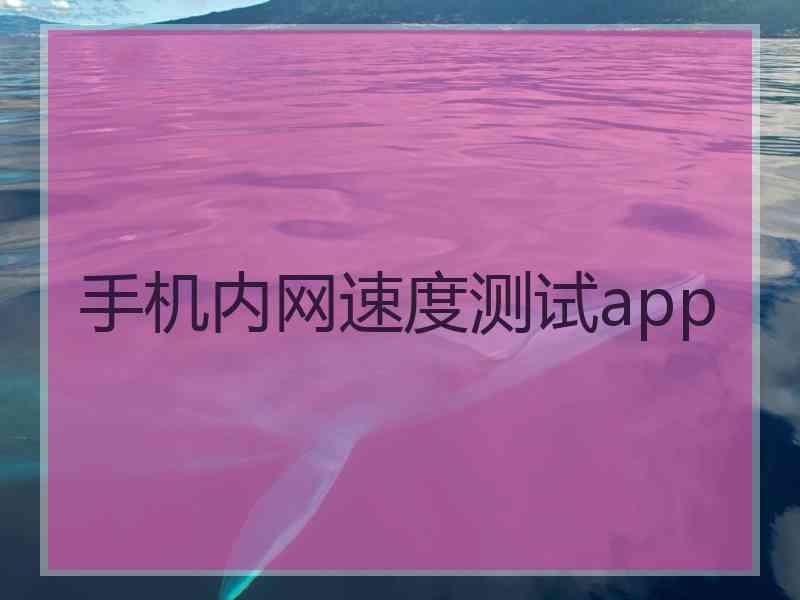 手机内网速度测试app