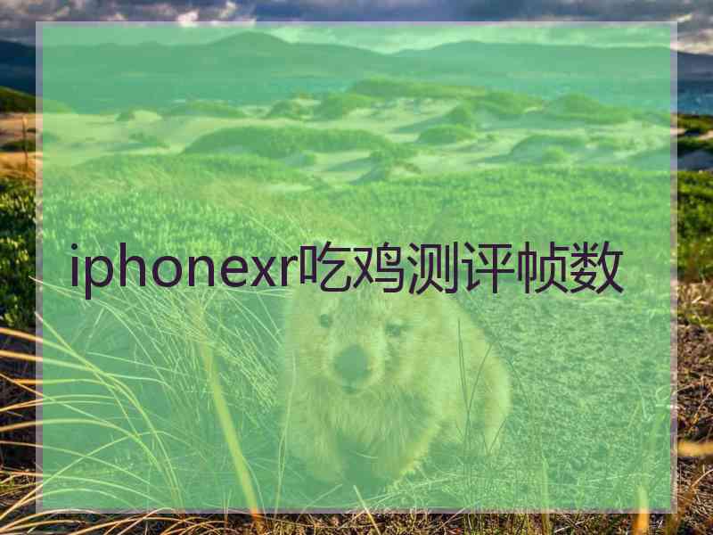 iphonexr吃鸡测评帧数