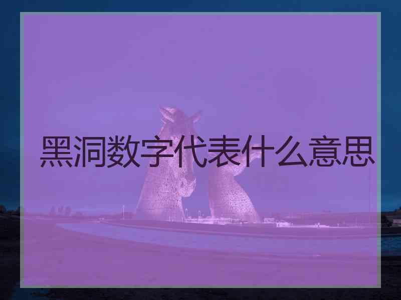 黑洞数字代表什么意思