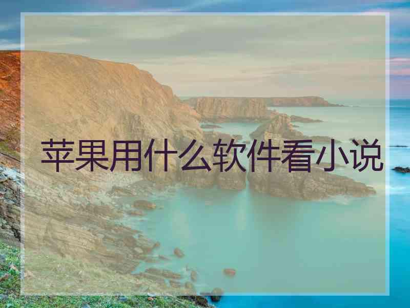 苹果用什么软件看小说