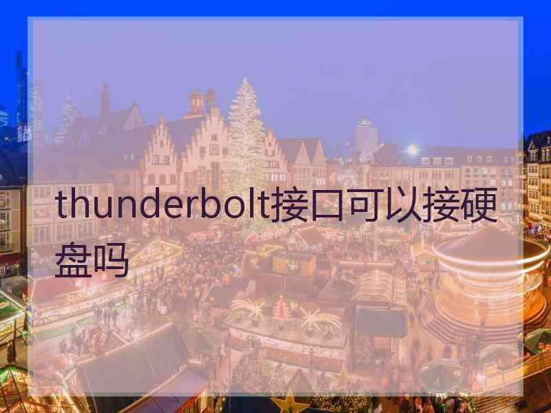 thunderbolt接口可以接硬盘吗
