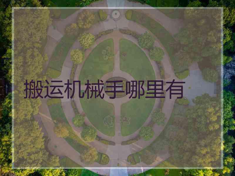 搬运机械手哪里有