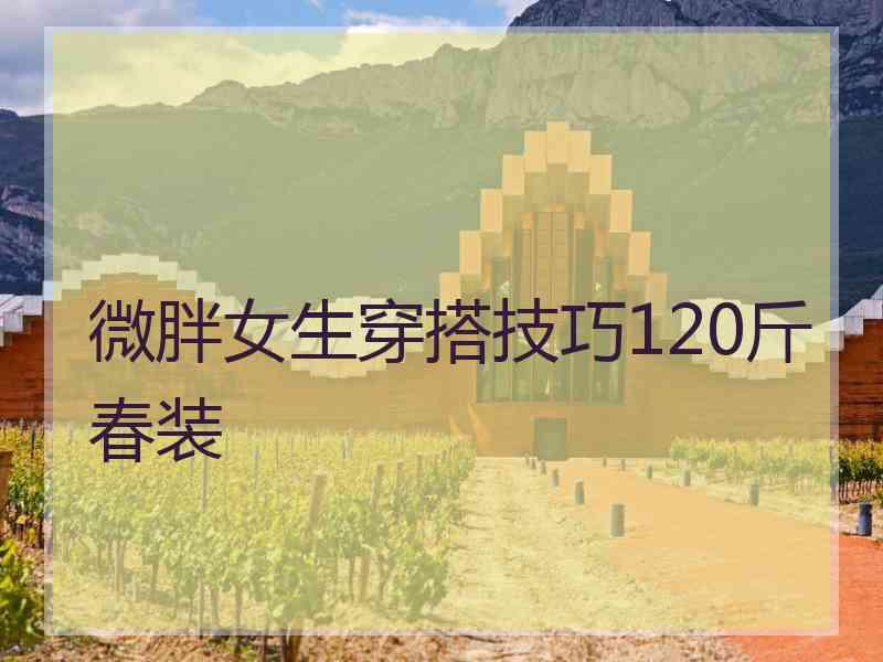 微胖女生穿搭技巧120斤春装