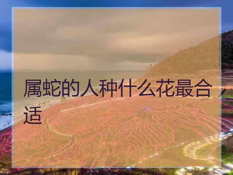 属蛇的人种什么花最合适
