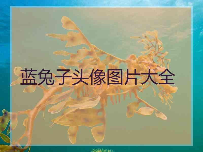 蓝兔子头像图片大全