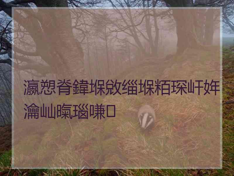 瀛愬脊鍏堢敓缁堢粨琛屽姩瀹屾暣瑙嗛