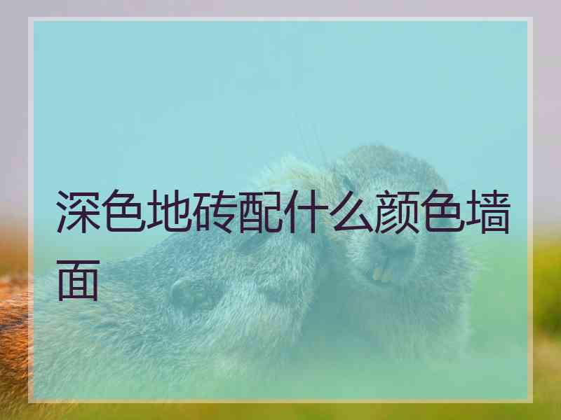 深色地砖配什么颜色墙面