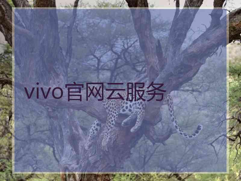 vivo官网云服务