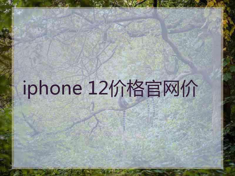 iphone 12价格官网价