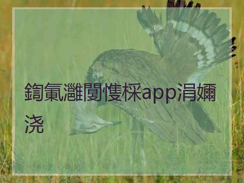 鍧氭灉闅愯棌app涓嬭浇