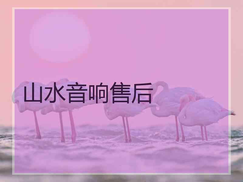 山水音响售后
