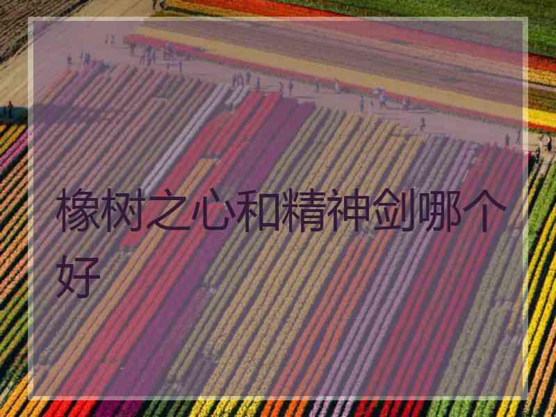 橡树之心和精神剑哪个好
