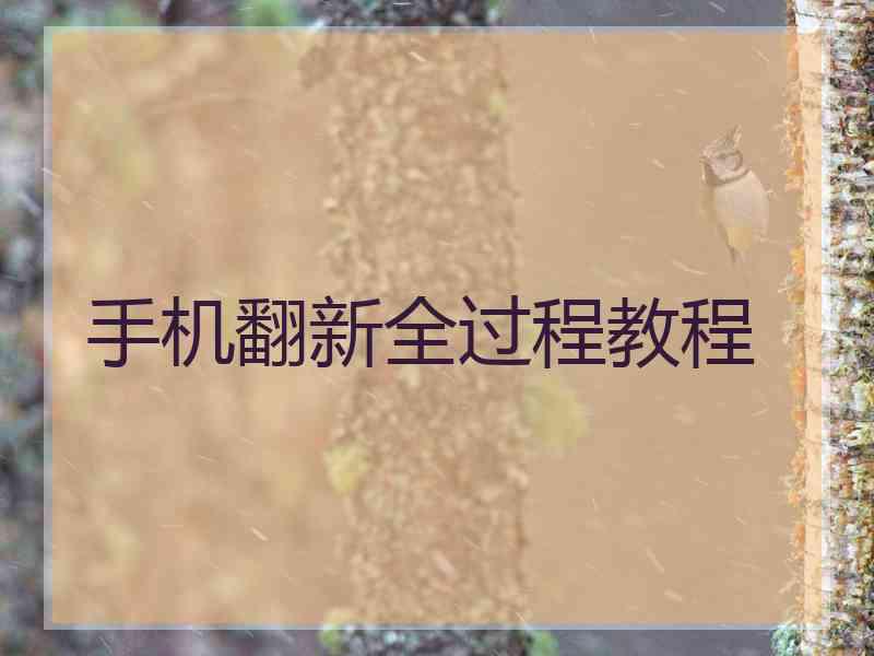 手机翻新全过程教程