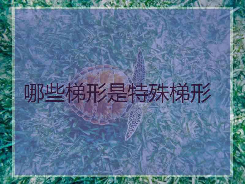 哪些梯形是特殊梯形