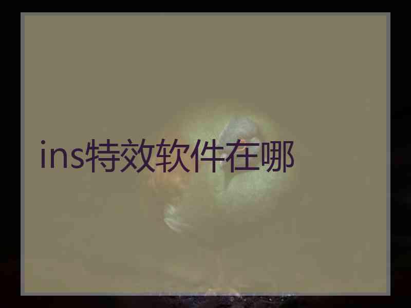 ins特效软件在哪