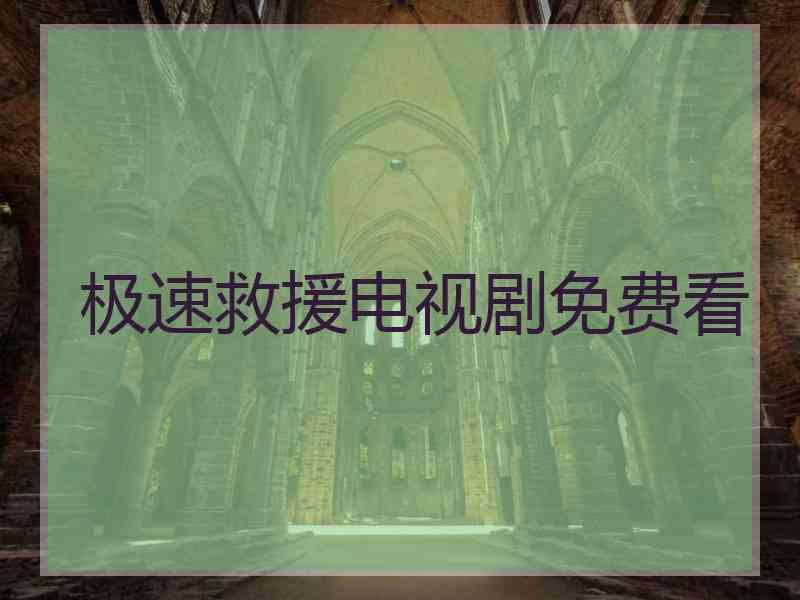 极速救援电视剧免费看
