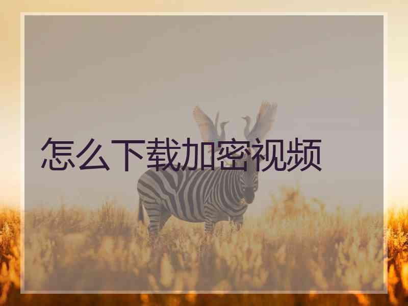 怎么下载加密视频