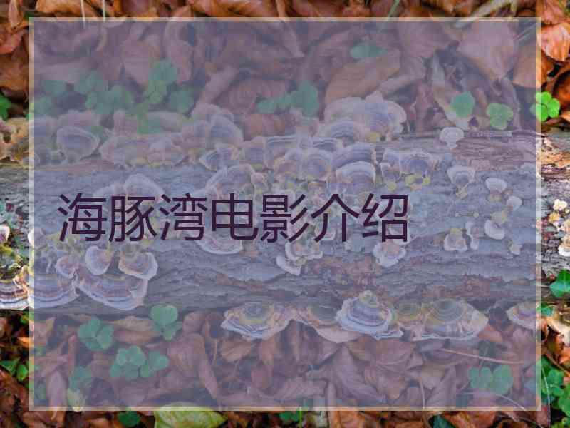 海豚湾电影介绍