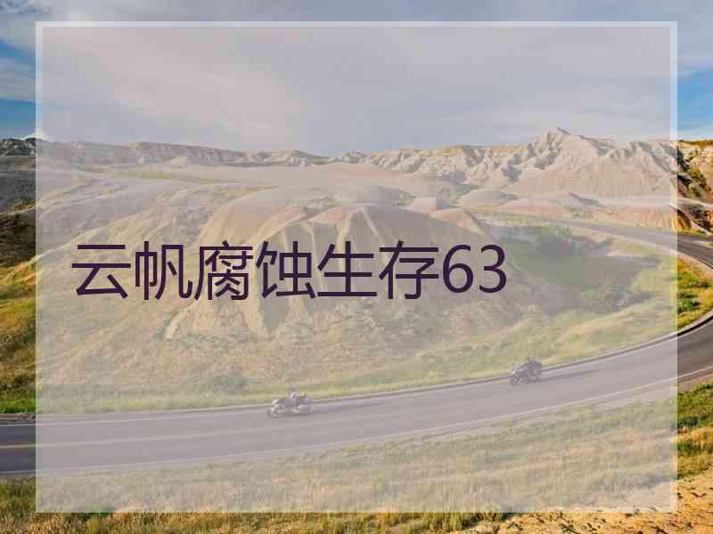 云帆腐蚀生存63