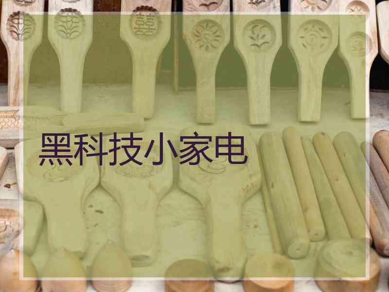黑科技小家电