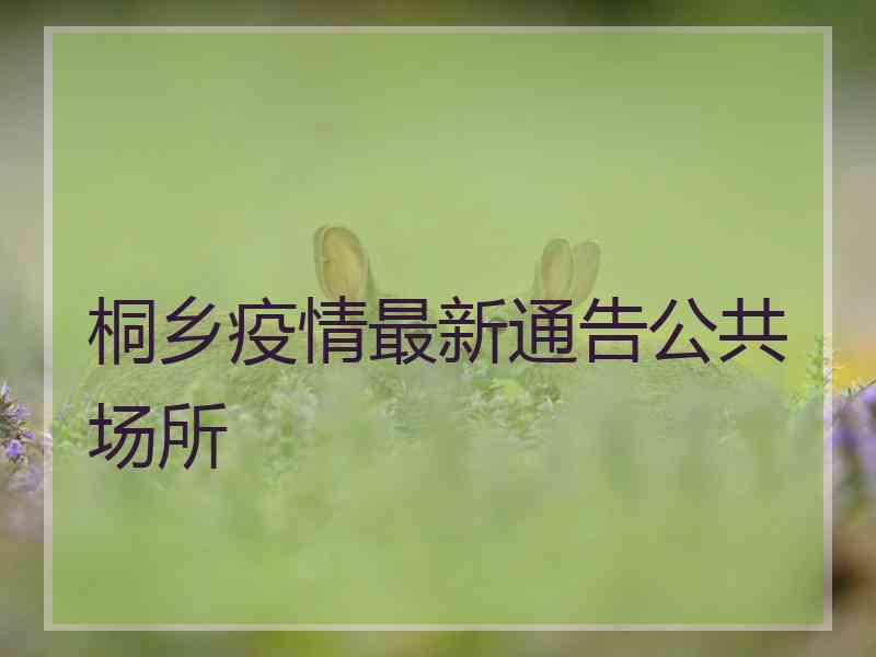 桐乡疫情最新通告公共场所