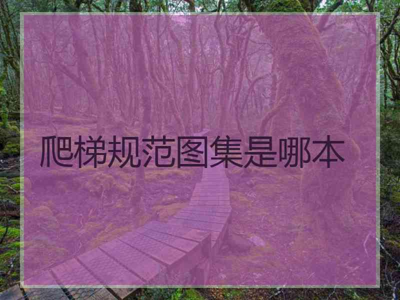 爬梯规范图集是哪本