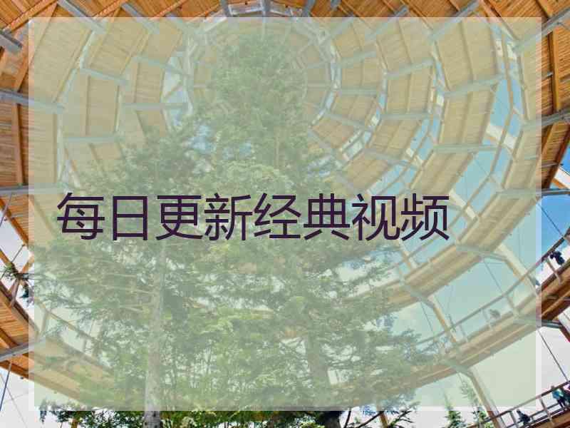 每日更新经典视频