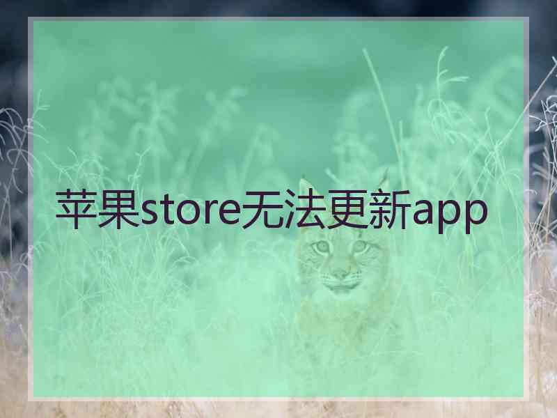 苹果store无法更新app