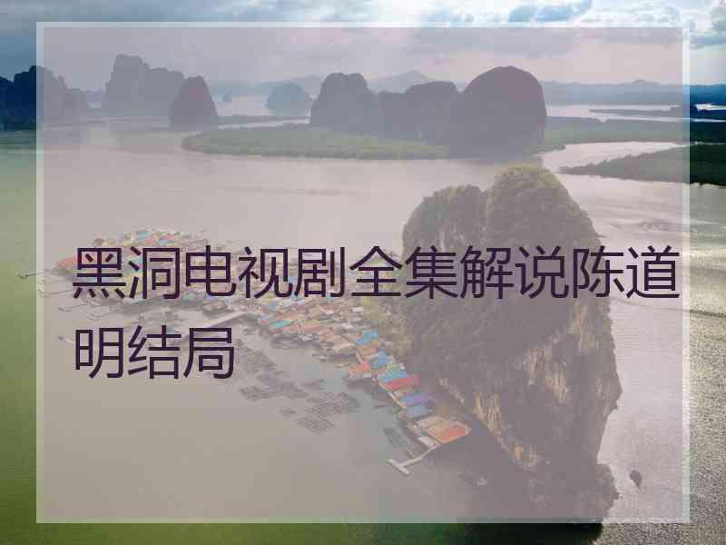 黑洞电视剧全集解说陈道明结局
