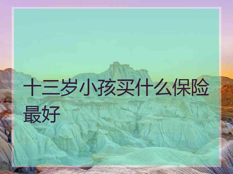 十三岁小孩买什么保险最好