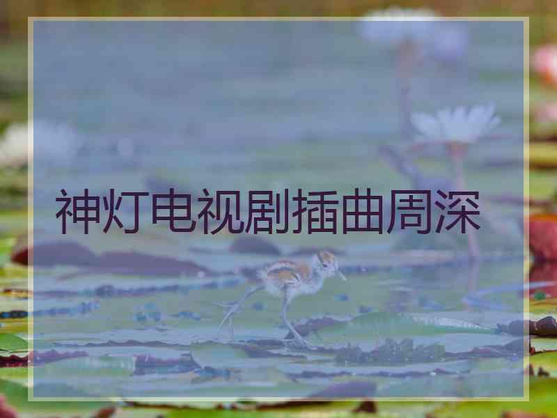 神灯电视剧插曲周深