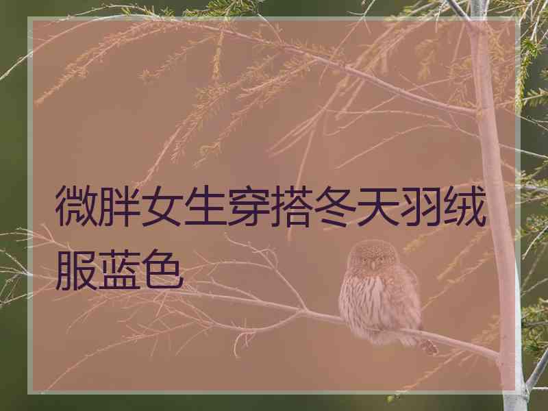 微胖女生穿搭冬天羽绒服蓝色