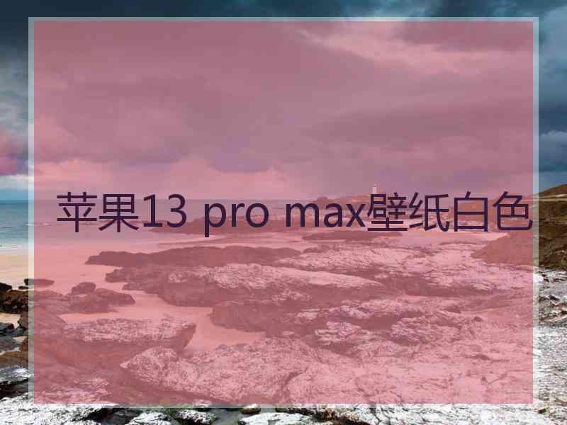 苹果13 pro max壁纸白色