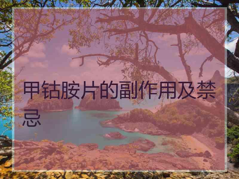 甲钴胺片的副作用及禁忌