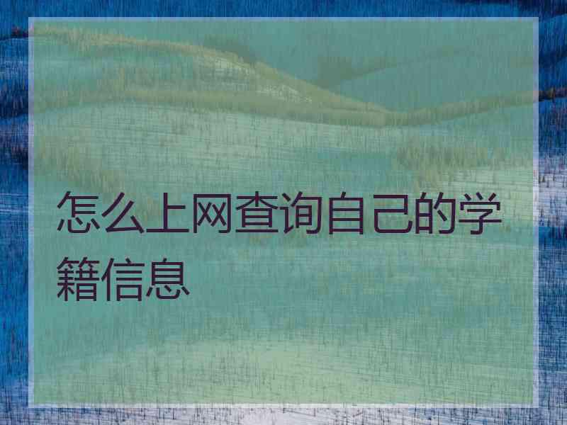 怎么上网查询自己的学籍信息