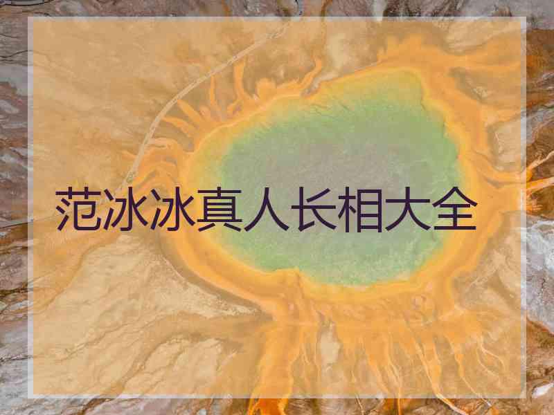 范冰冰真人长相大全