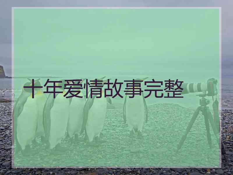 十年爱情故事完整