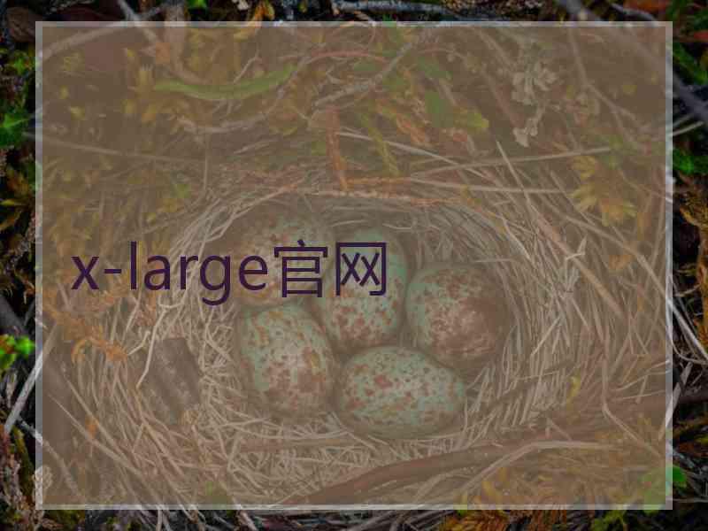 x-large官网